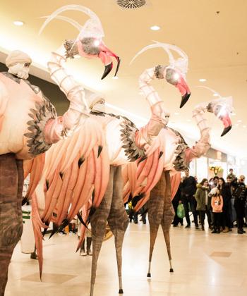 Creaturi gigantice, apariții misterioase, iluzii optice și oferte la cumpărături - surprizele pentru aniversarea celor 10 ani de Iulius Mall