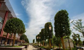 Oaza verde din proiectul mixt Iulius Town Timișoara, investiție în valoare de 8,7 milioane de euro