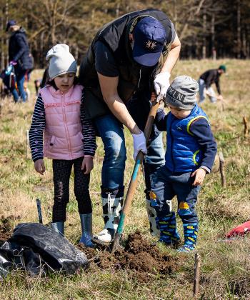 Angajații IULIUS au plantat 3.500 de copaci pentru un viitor cu aer mai curat în județele Iași și Suceava